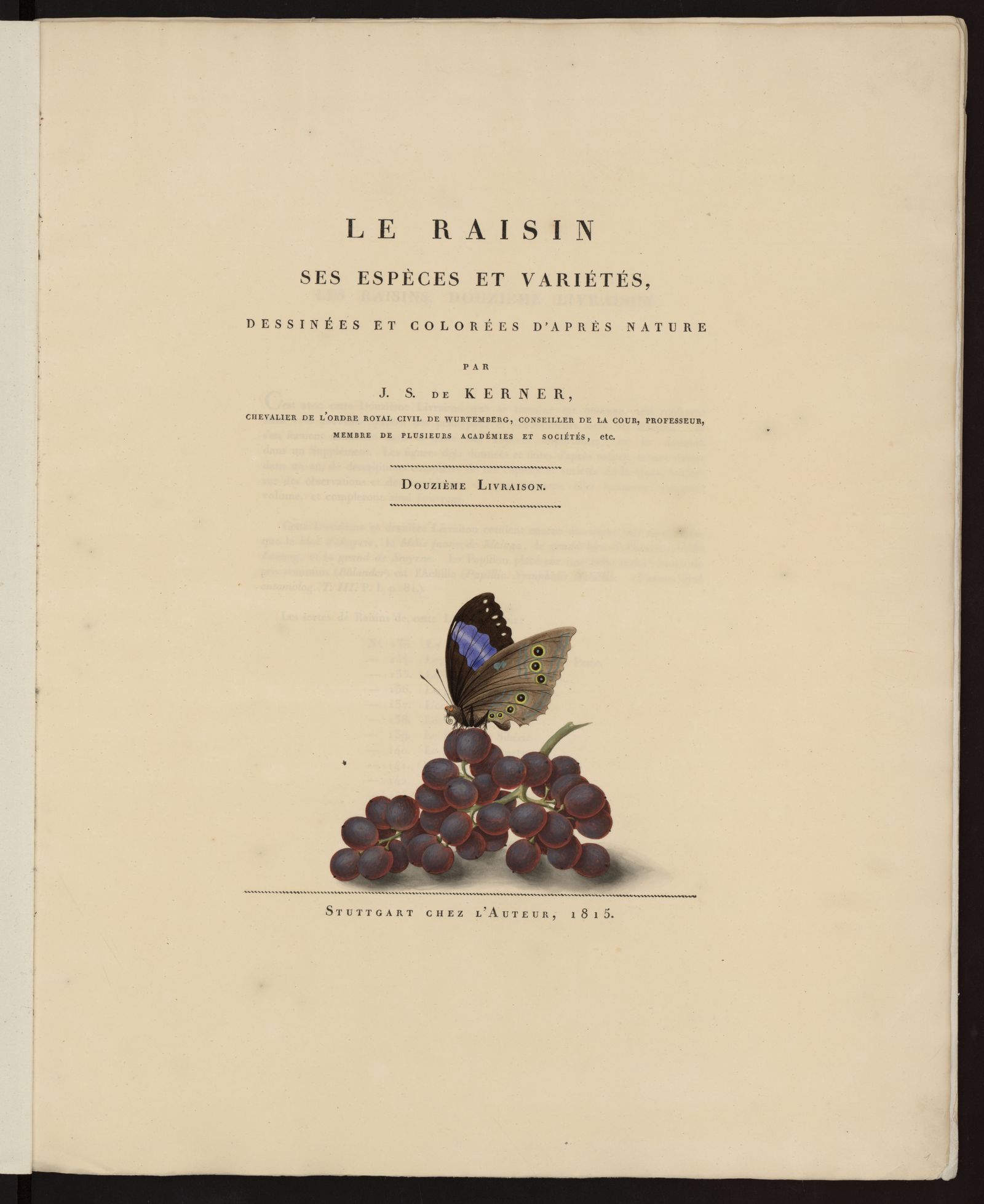 Изображение Le Raisin : ses espèces et variétés, dessinées et colorées d'après nature. Livraison 12