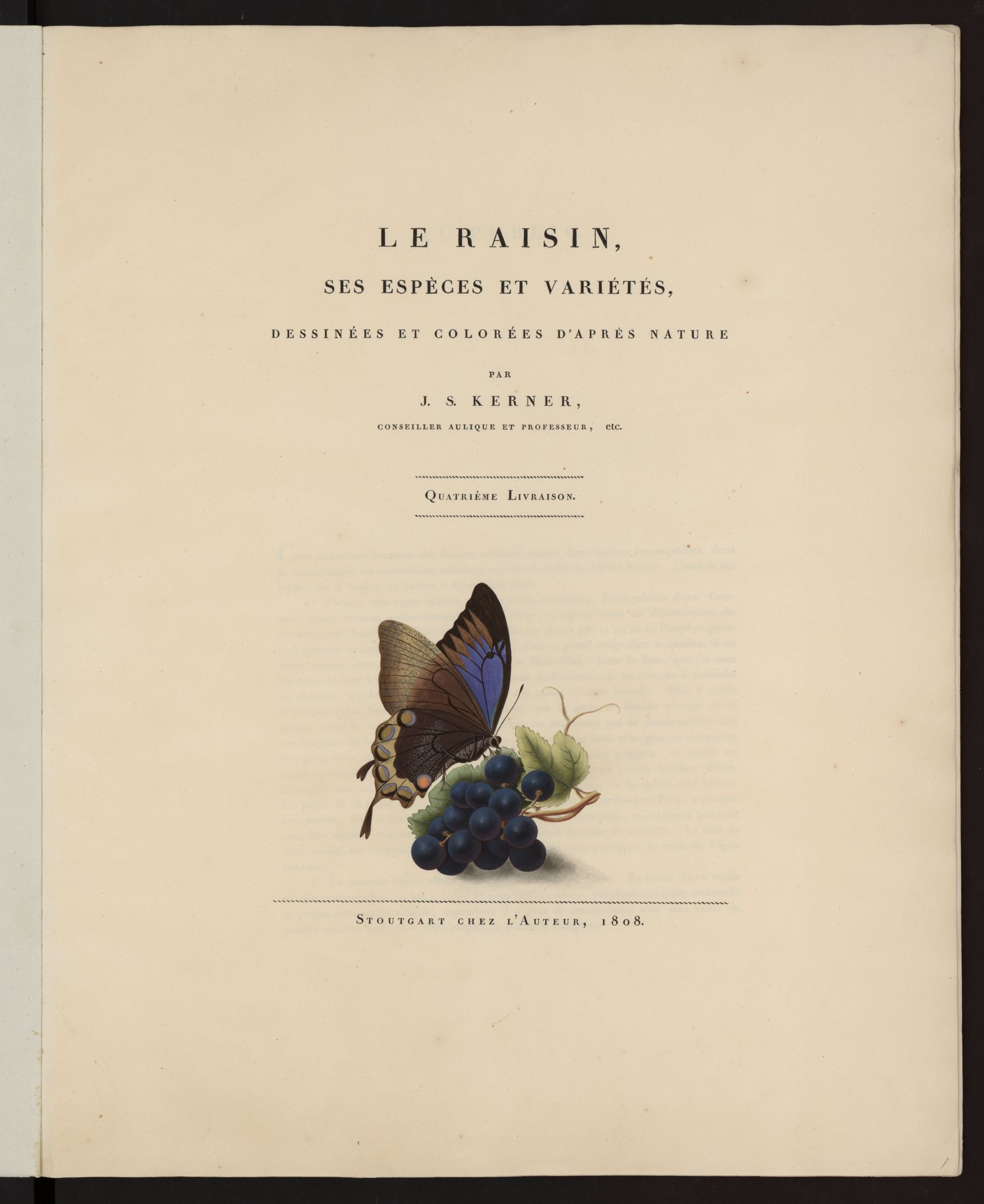 Изображение Le Raisin : ses espèces et variétés, dessinées et colorées d'après nature. Livraison 4