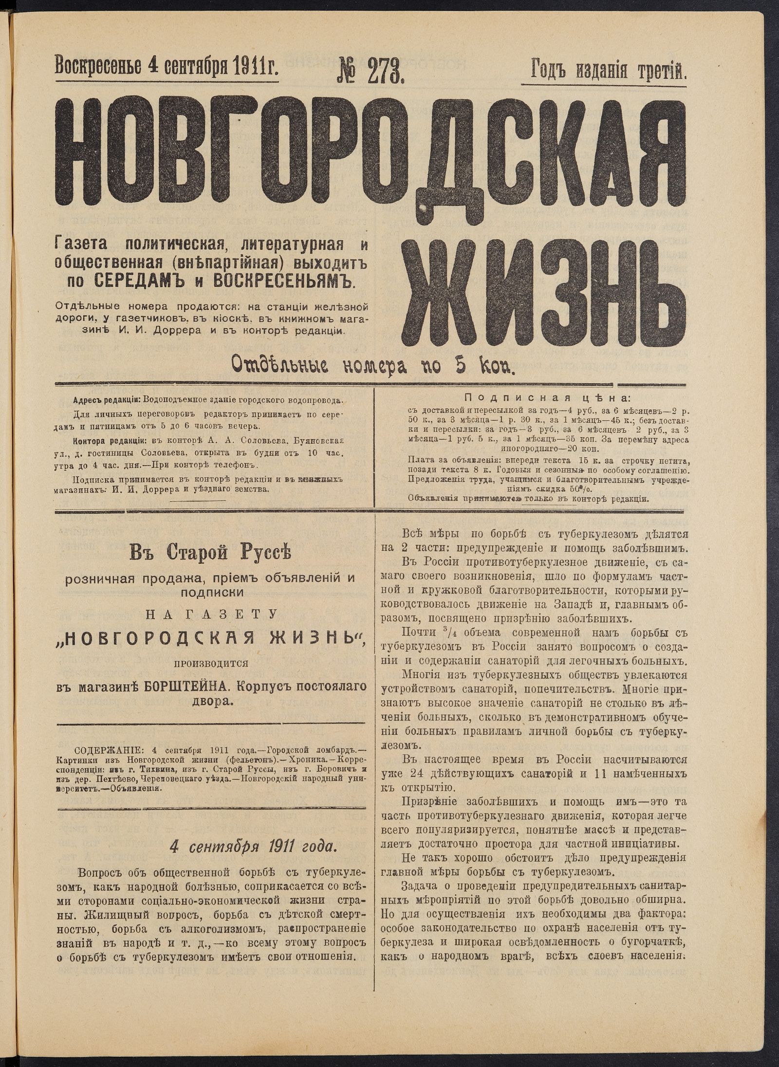 Изображение книги Новгородская жизнь. 1911, № 273 (4 сент.)