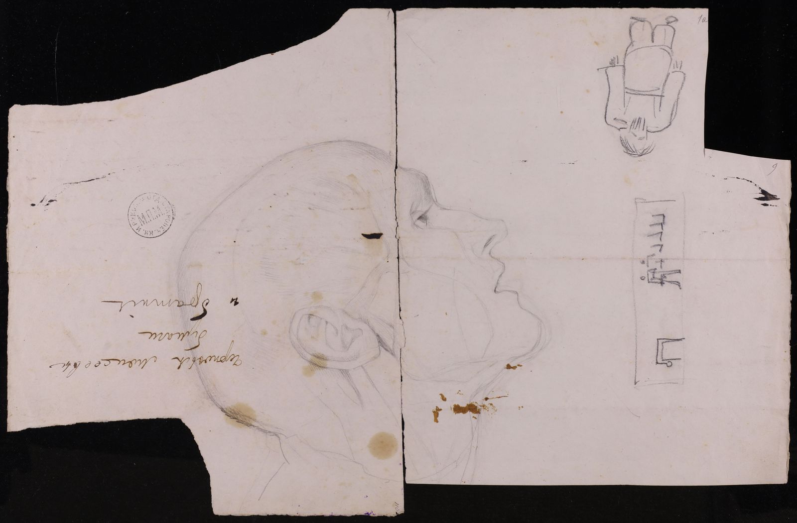 Изображение Голова старика в профиль