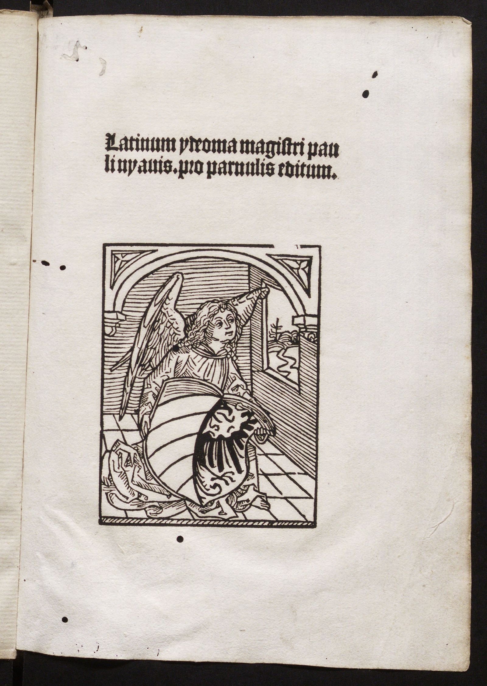 Изображение Latinum idioma pro parvulis editum