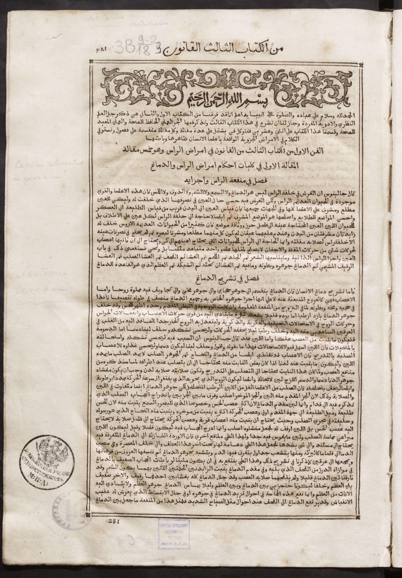 Изображение Kitāb al-qānūn fī al-ṭibb. Ч. 2