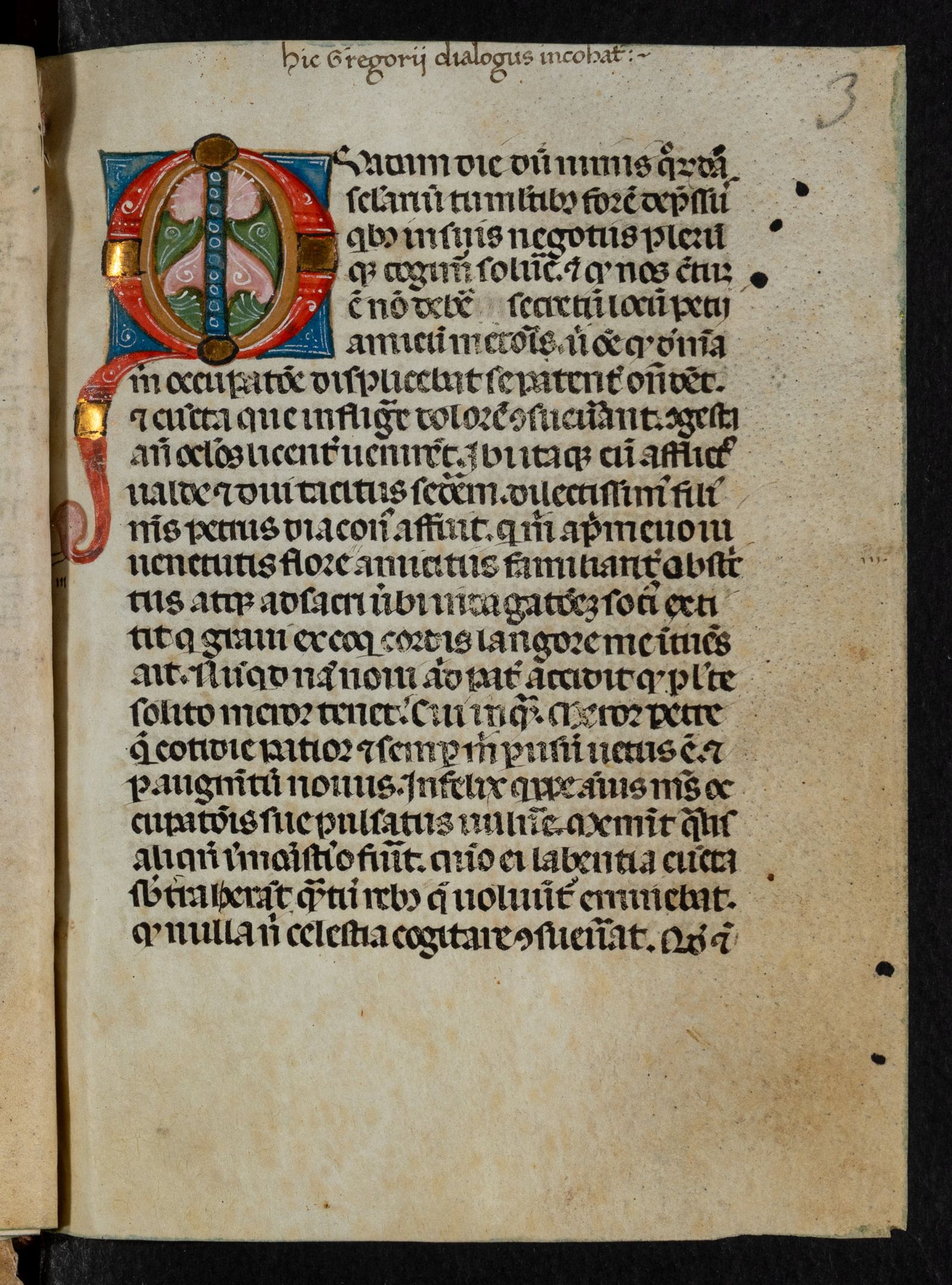 Изображение Диалоги