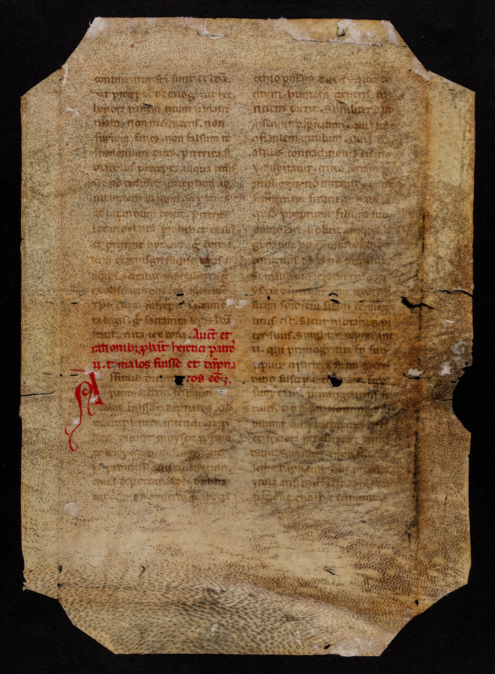 Изображение Трактат против еретиков