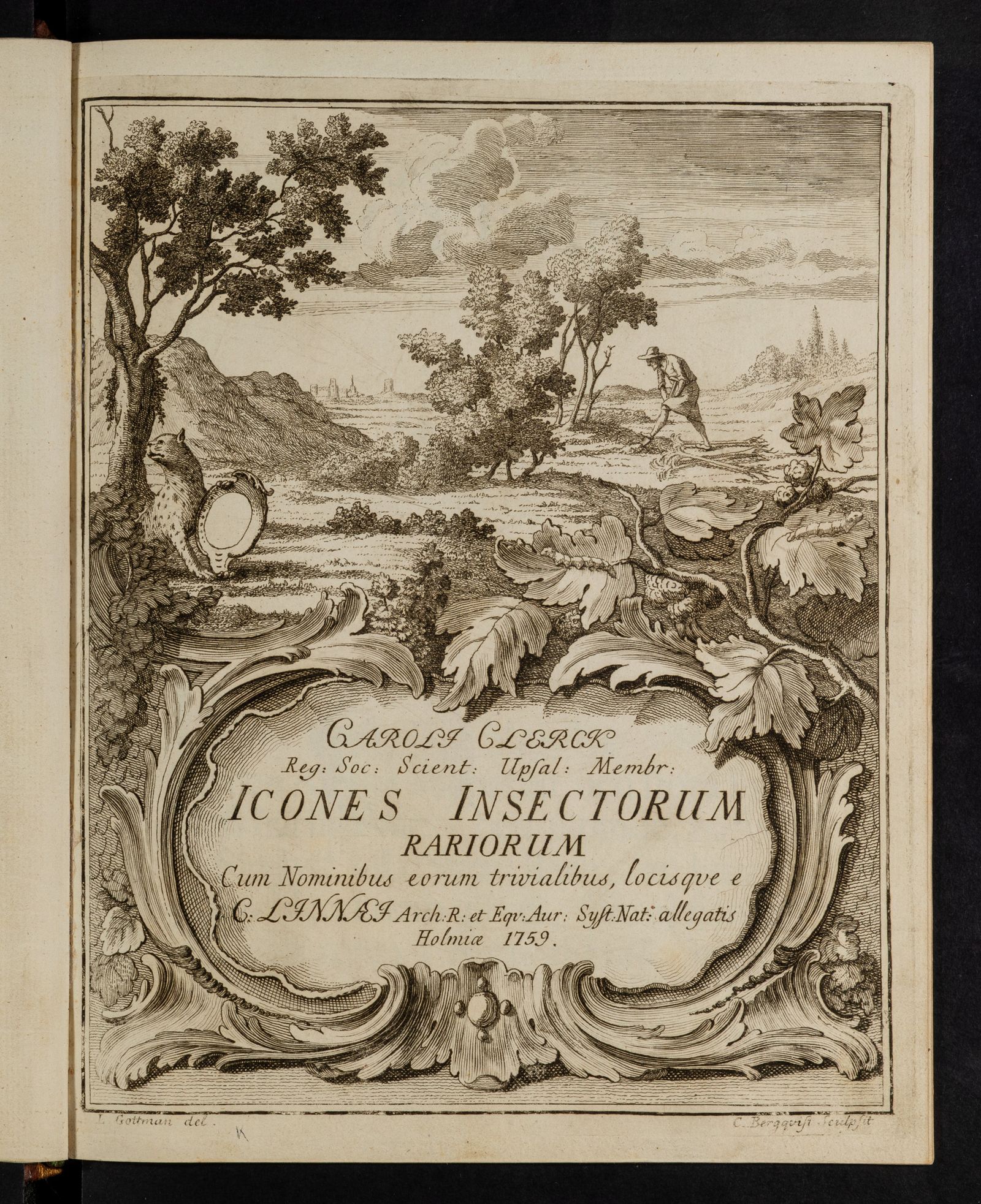 Изображение Icones insectorum rariorum. Sect. 1