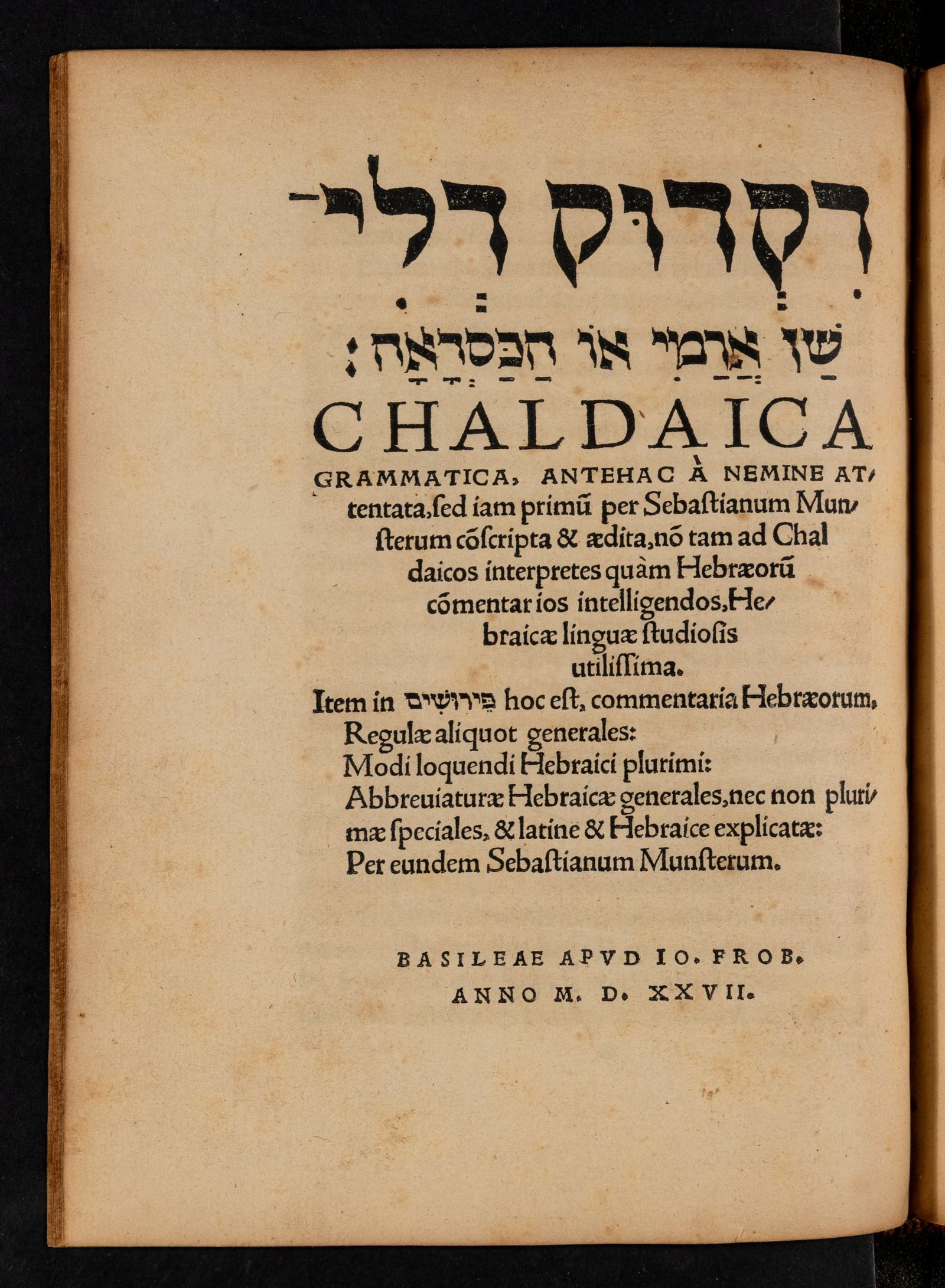 Изображение Chaldaica grammatica