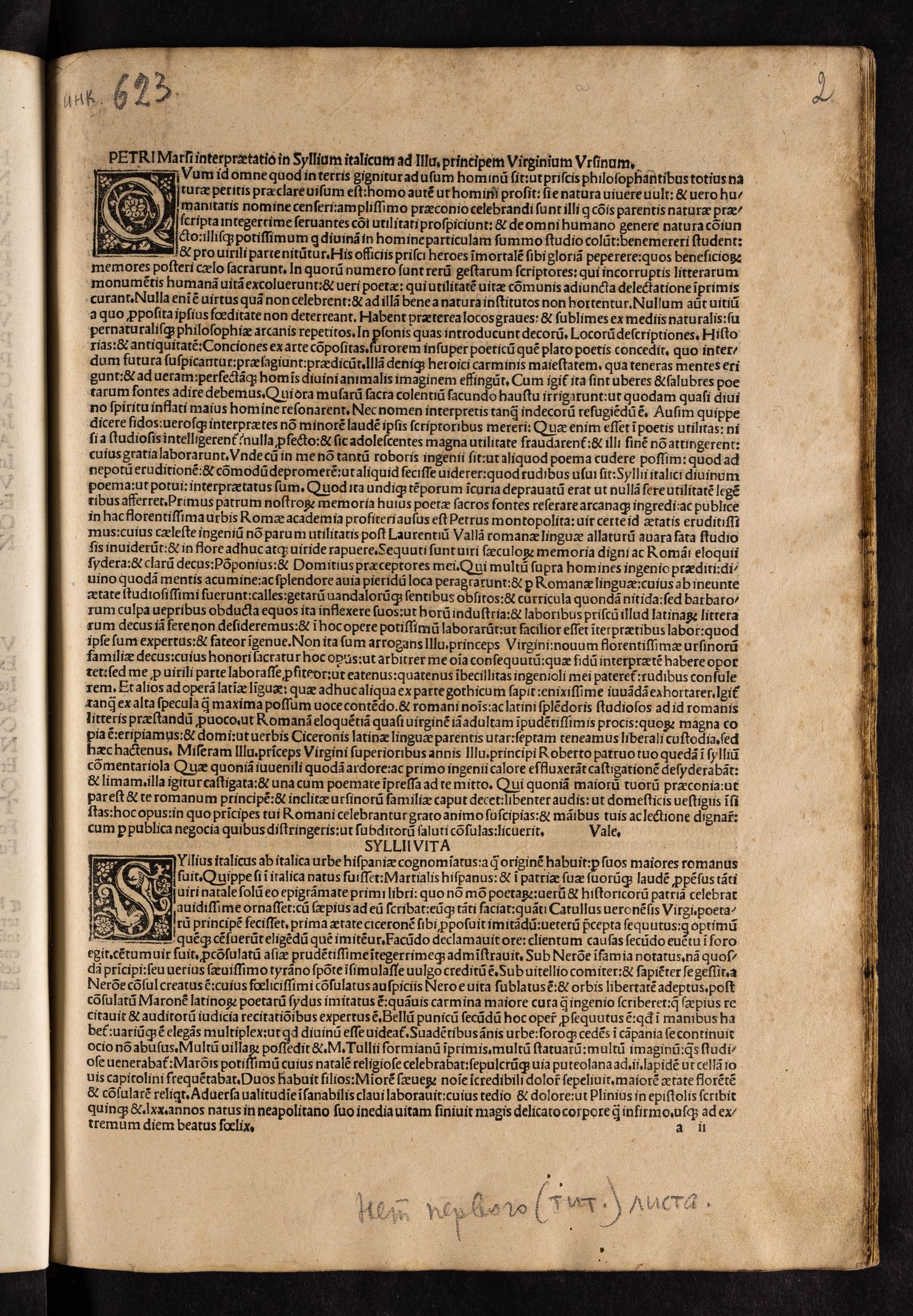 Изображение Punica