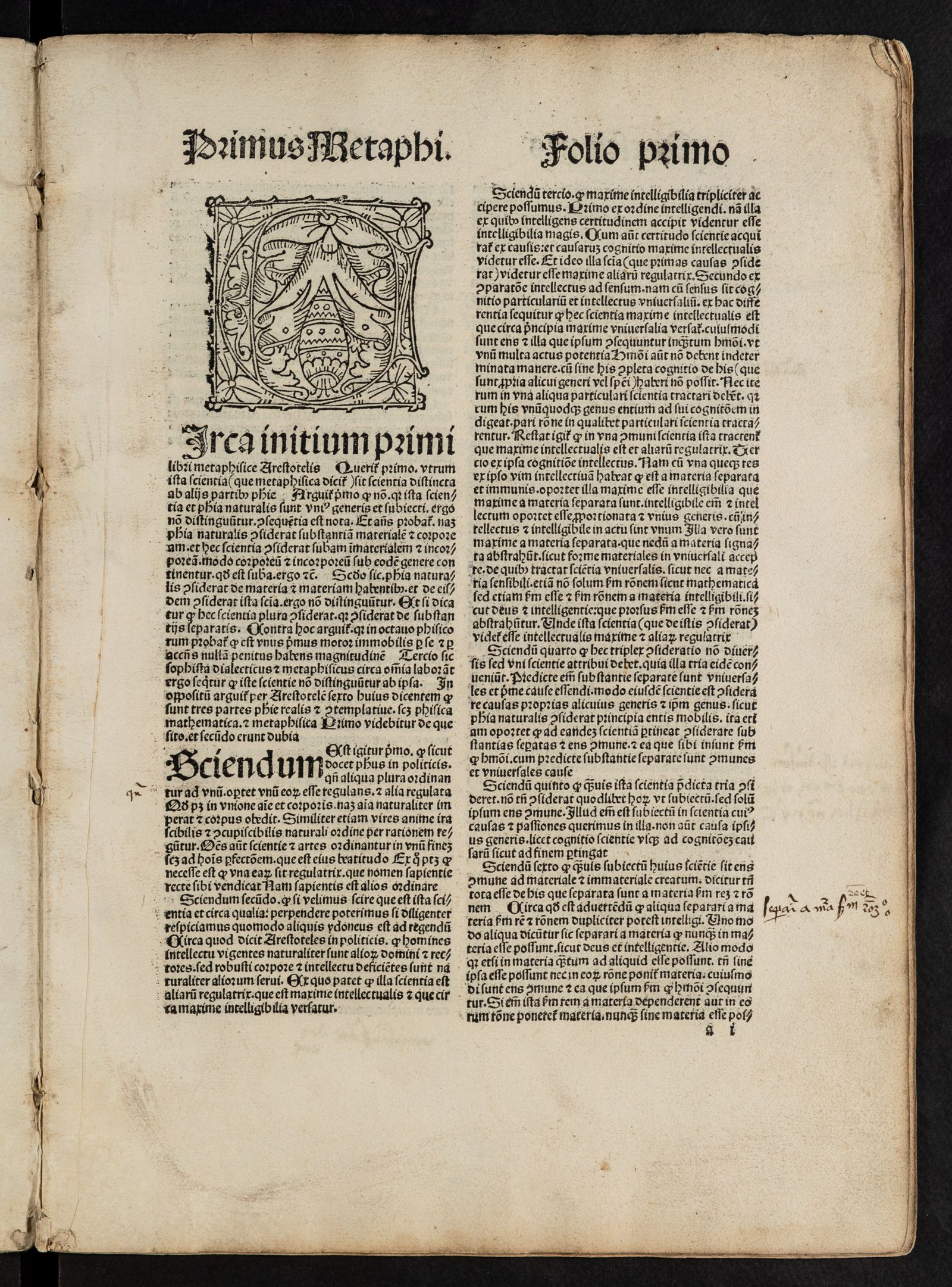 Изображение Quaestiones super Metaphysicam Aristotelis