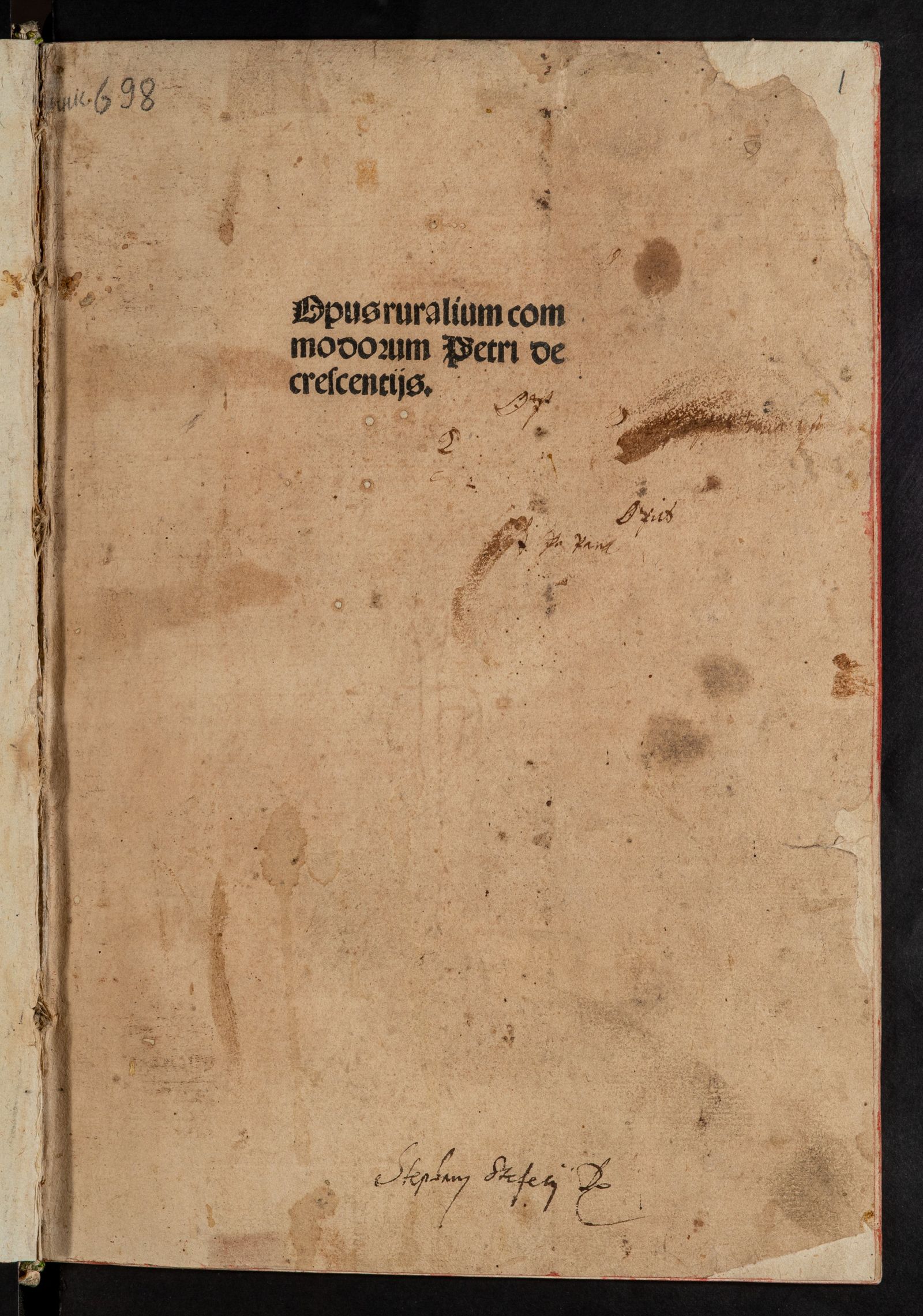 Изображение Ruralia commoda