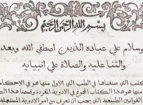 Изображение книжного памятника 'Канон врачебной науки. Ч. 1'