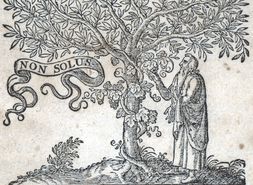 Изображение книжного памятника 'Арабо-латинский лексикон'