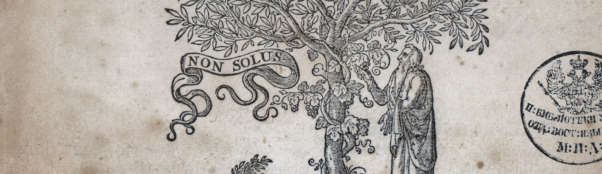 Фоновое изображение Арабо-латинский лексикон