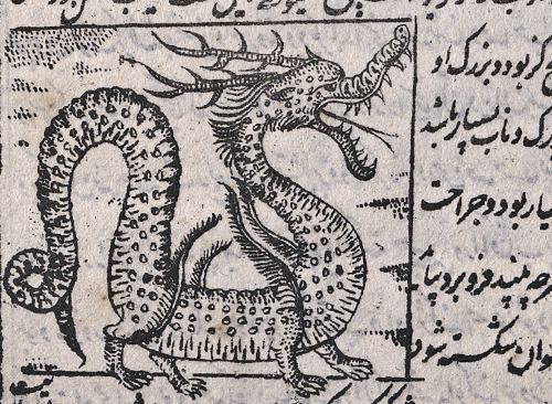 Изображение книжного памятника 'Чудеса сотворённого и диковинки существующего'