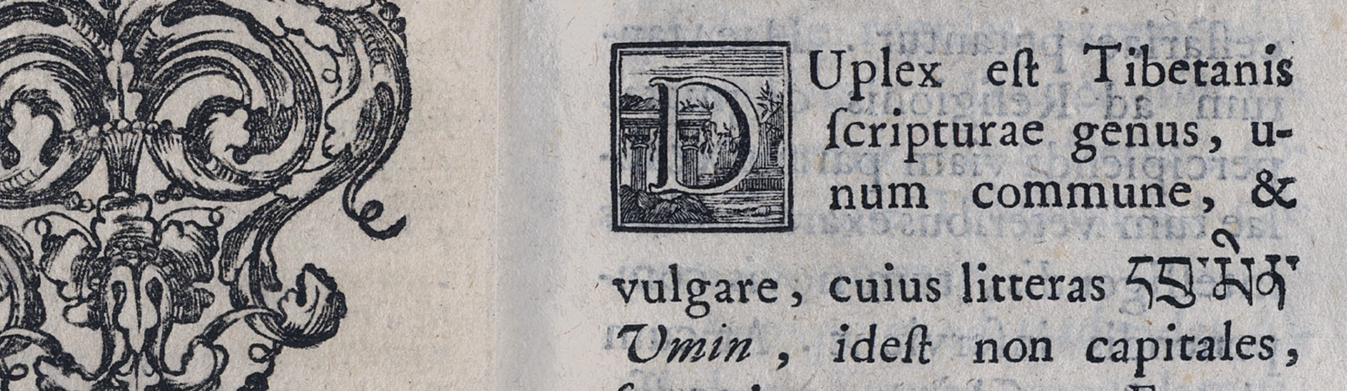 Фоновое изображение Тангутанский или тибетский алфавит