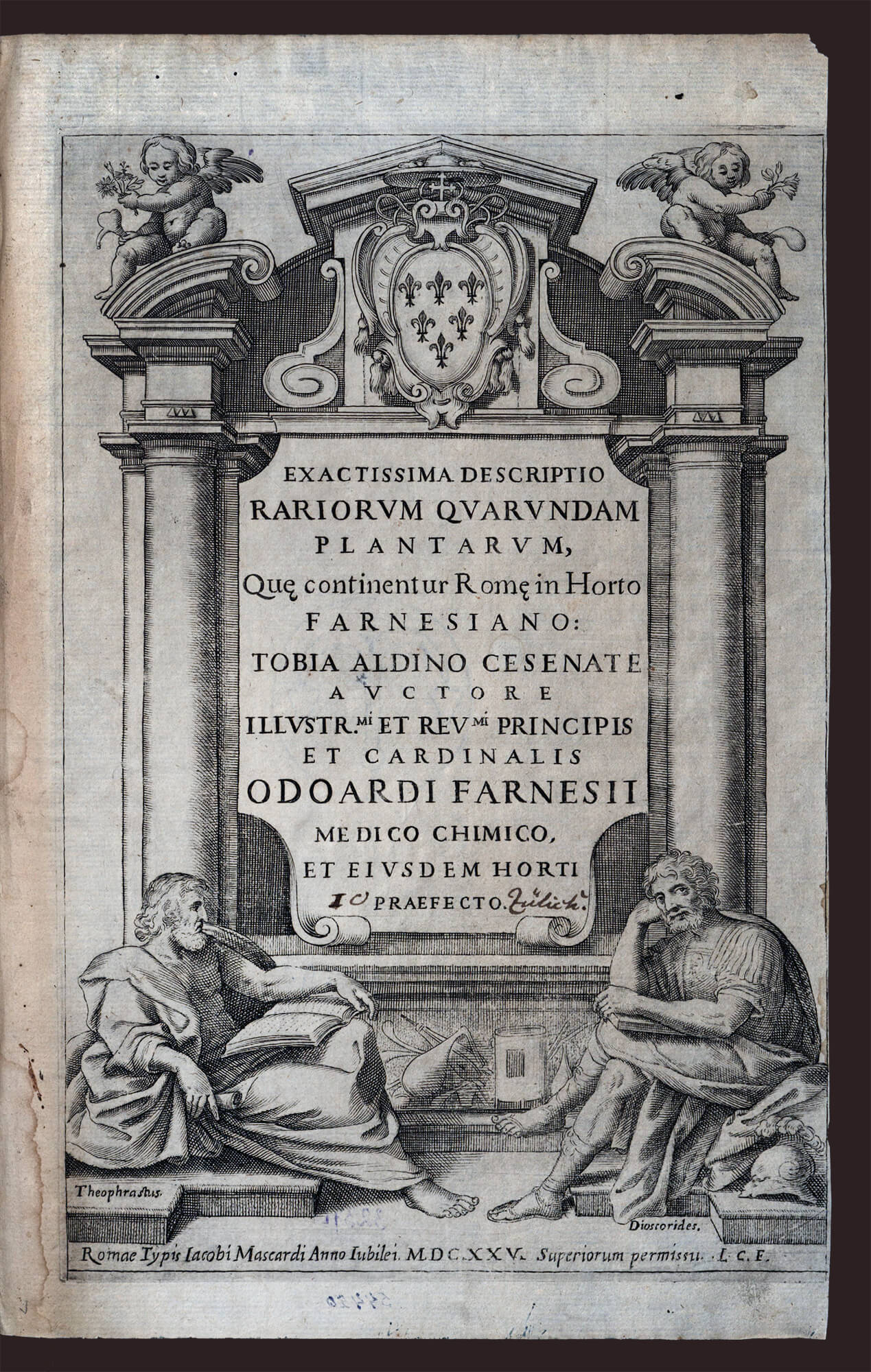 Изображение Точное описание некоторых редких растений, произрастающих в Риме в Фарнезийском саду