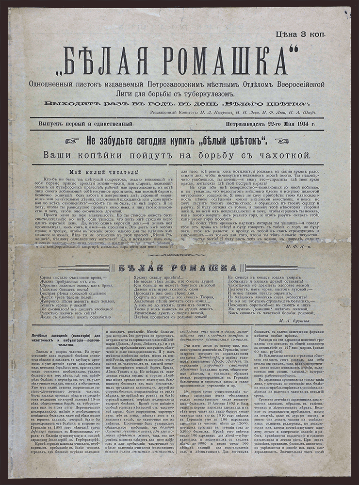 Изображение книги Белая ромашка