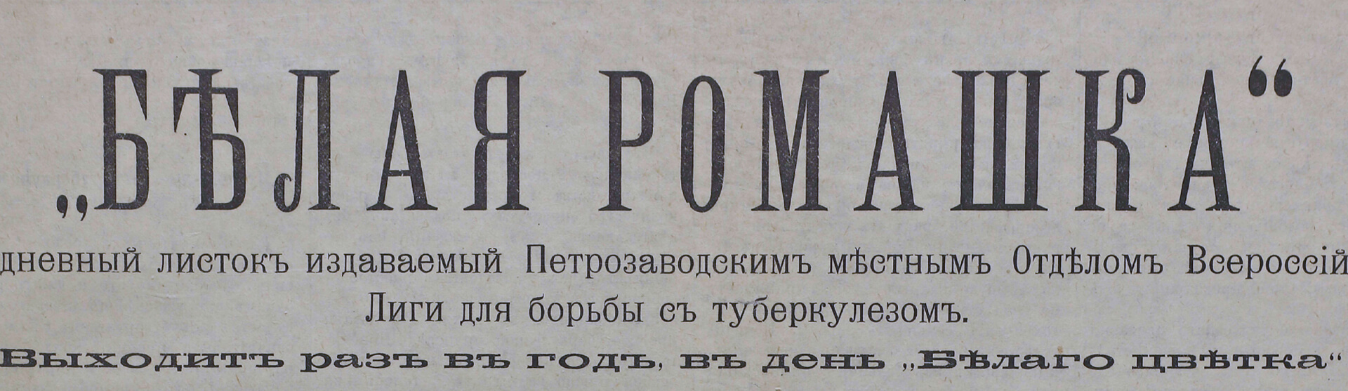 Фоновое изображение Белая ромашка