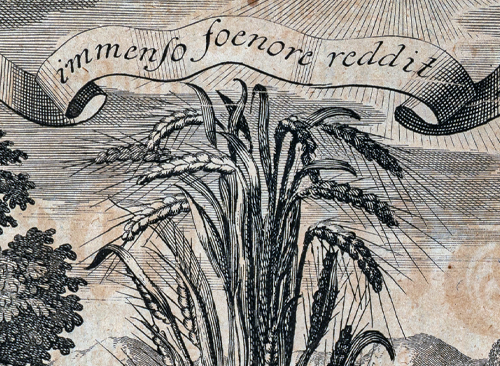 Изображение книжного памятника 'Открытие истинной причины чудесного умножения зерна'