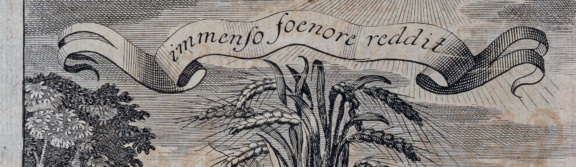 Фоновое изображение Открытие истинной причины чудесного умножения зерна