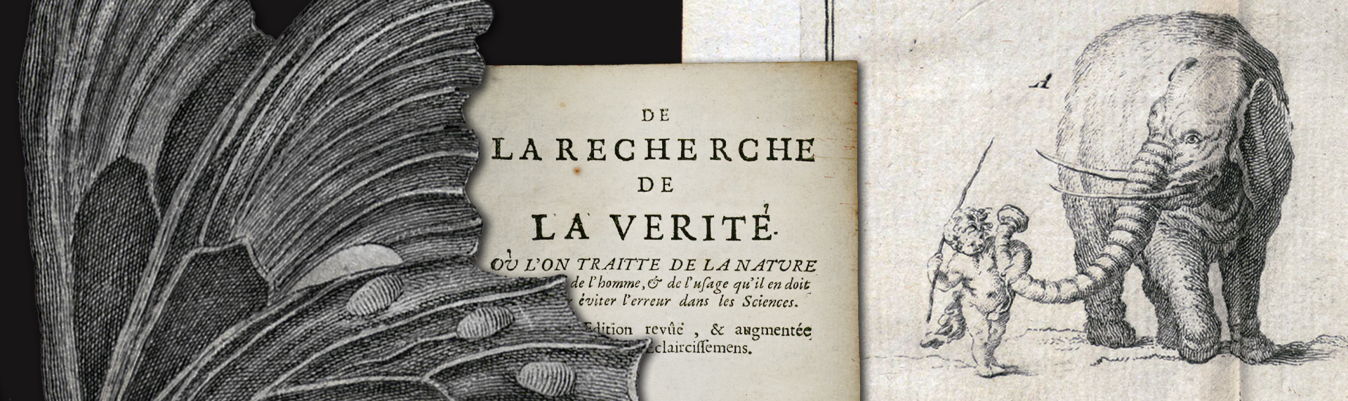 Изображение Библиотека Вольтера